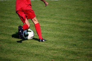 开云·体育全站登录地址-中国篮球青年运动员选拔体系研究，中国篮球国家青年队选拔方式